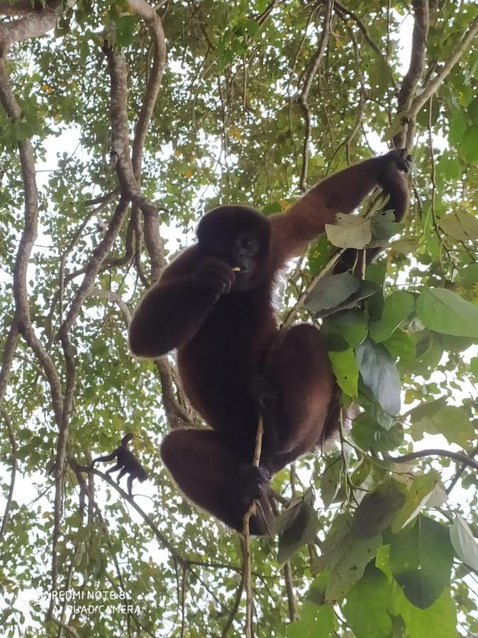 Jacamar Lodge Expeditions Iquitos Dış mekan fotoğraf