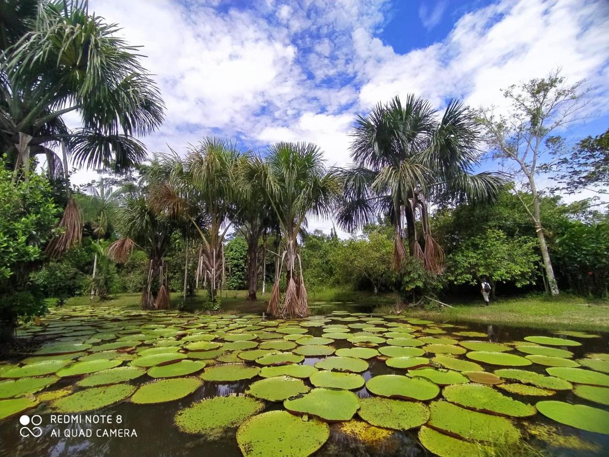 Jacamar Lodge Expeditions Iquitos Dış mekan fotoğraf