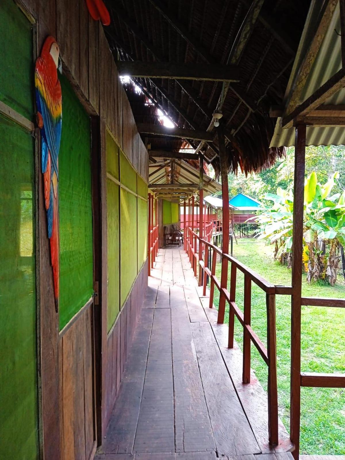 Jacamar Lodge Expeditions Iquitos Dış mekan fotoğraf