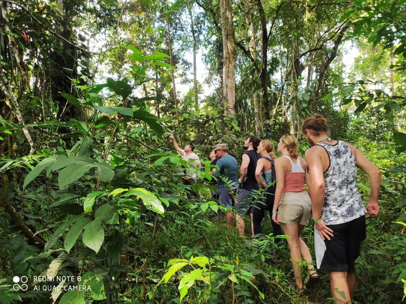 Jacamar Lodge Expeditions Iquitos Dış mekan fotoğraf