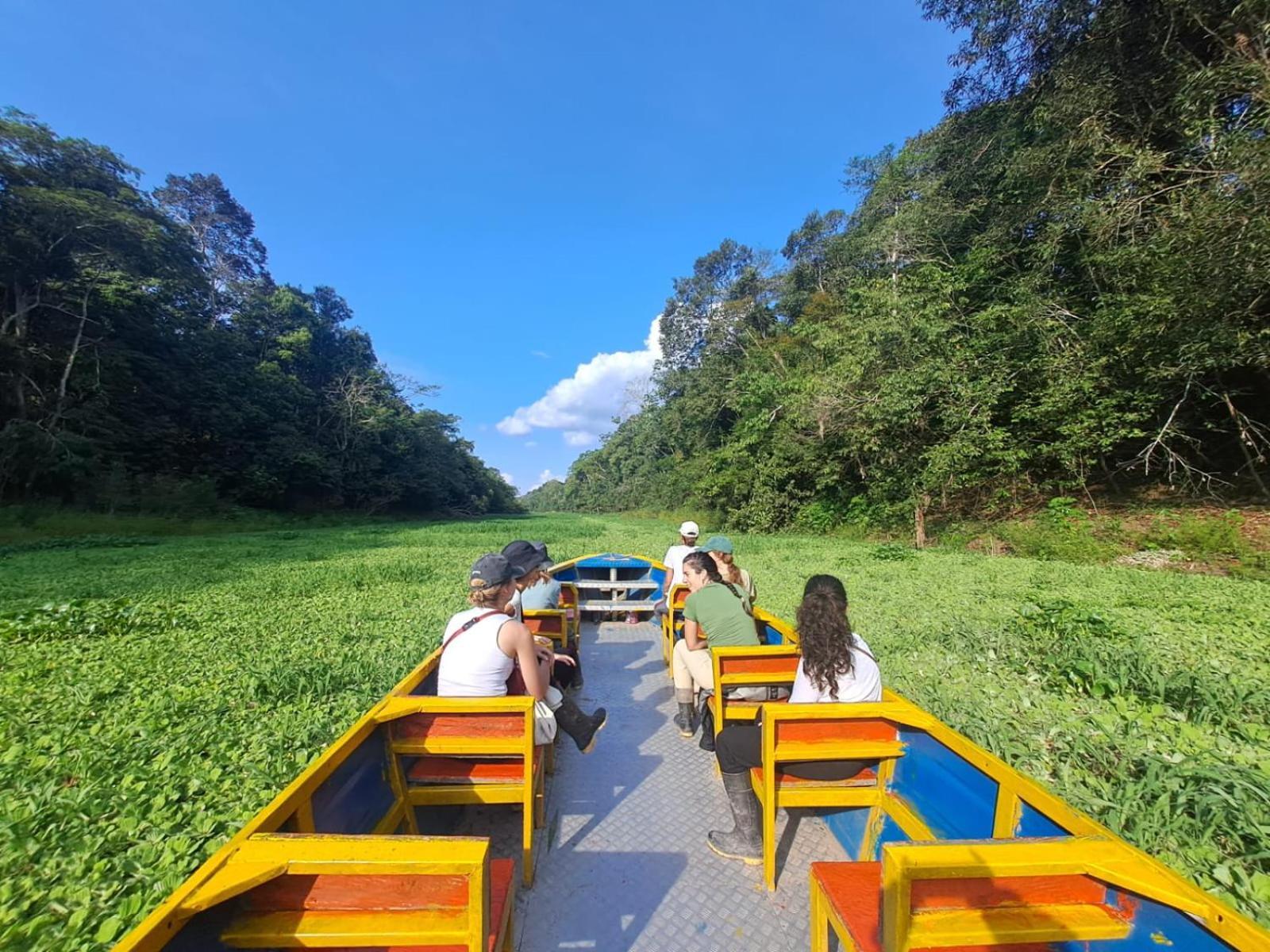 Jacamar Lodge Expeditions Iquitos Dış mekan fotoğraf