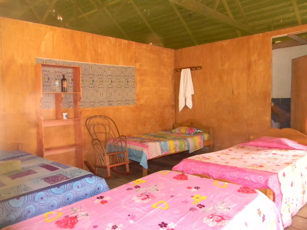 Jacamar Lodge Expeditions Iquitos Dış mekan fotoğraf